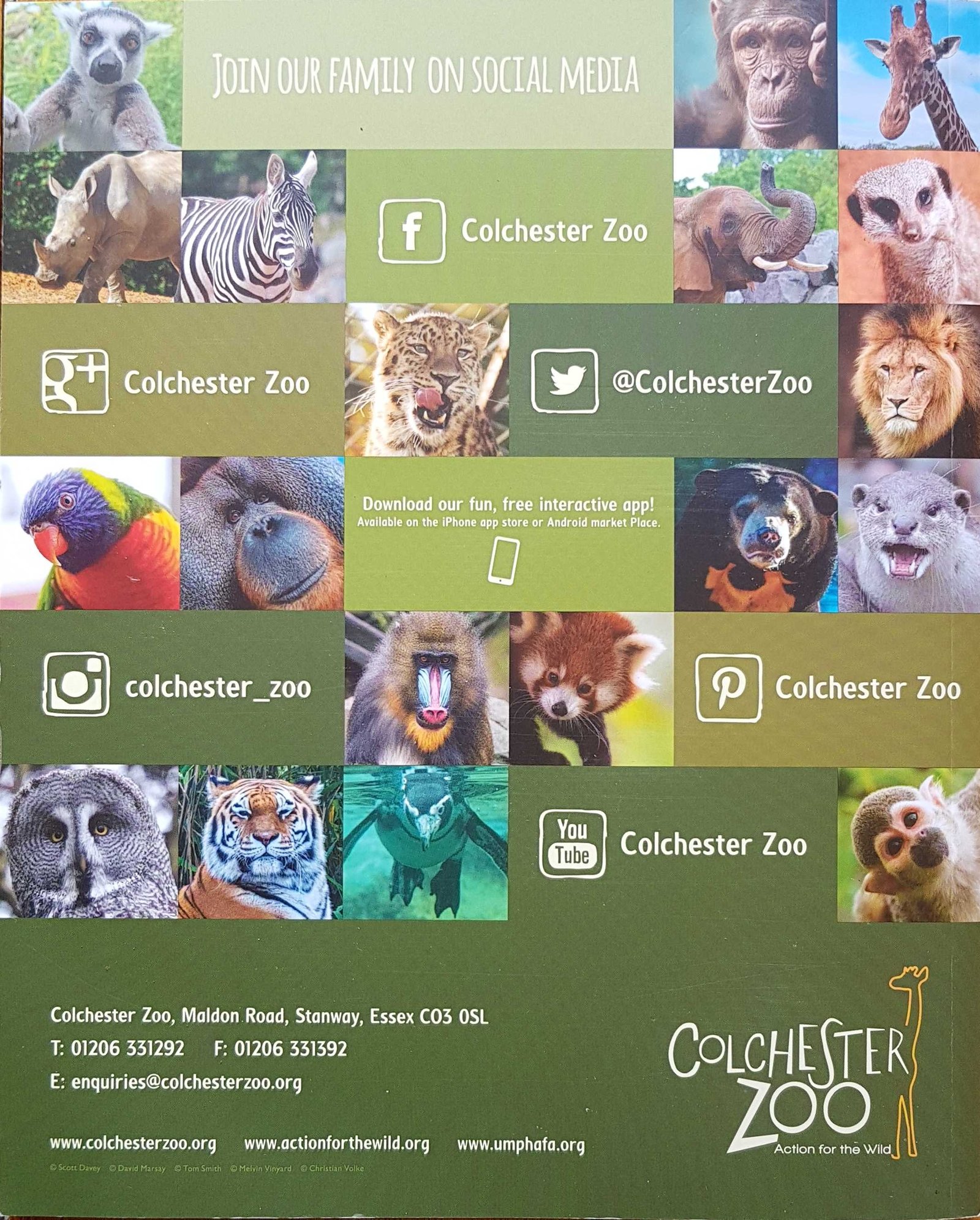 Picture of Books-CZSB Colchester Zoo souvenir book by artist Scott Davey / David Marsay / Tom Smith / Melvin Vinyard / Christian Volke 